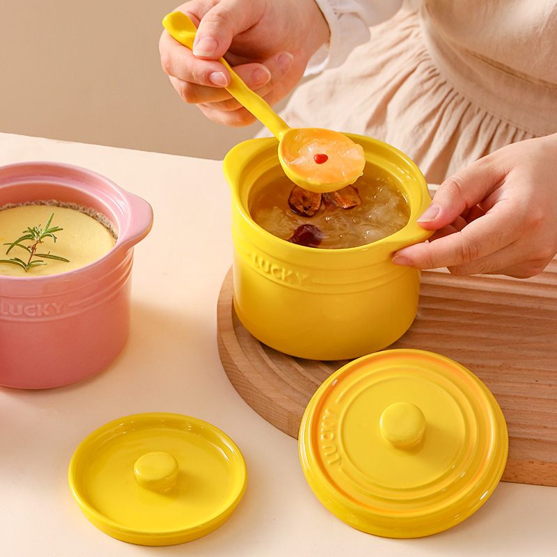 وعاء سيراميك بغطاء مزدوج، وعاء - مراجعة Kitchen Baking Utensil وسعره